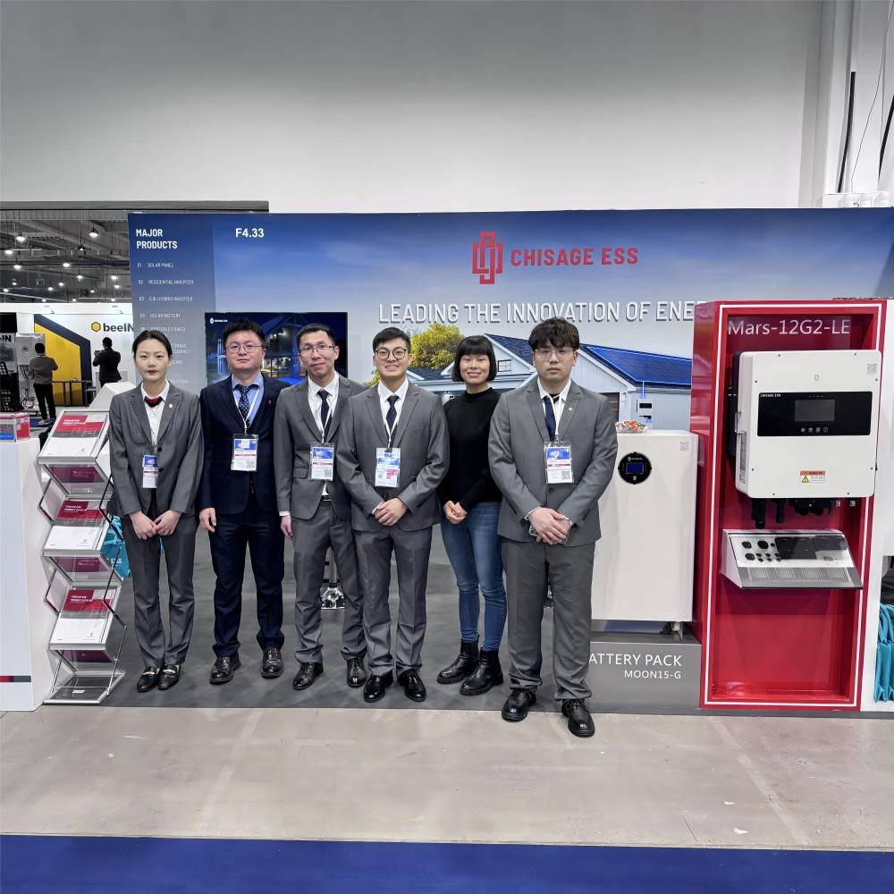 Enfoque principal | Desbloqueando el potencial verde de Polonia con CHISAGE ESS